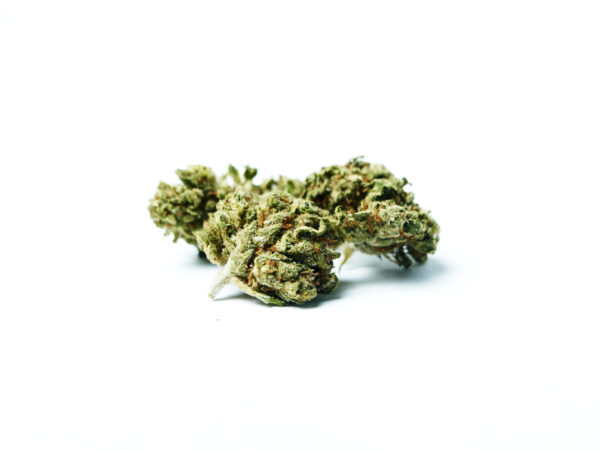 Critical Kush