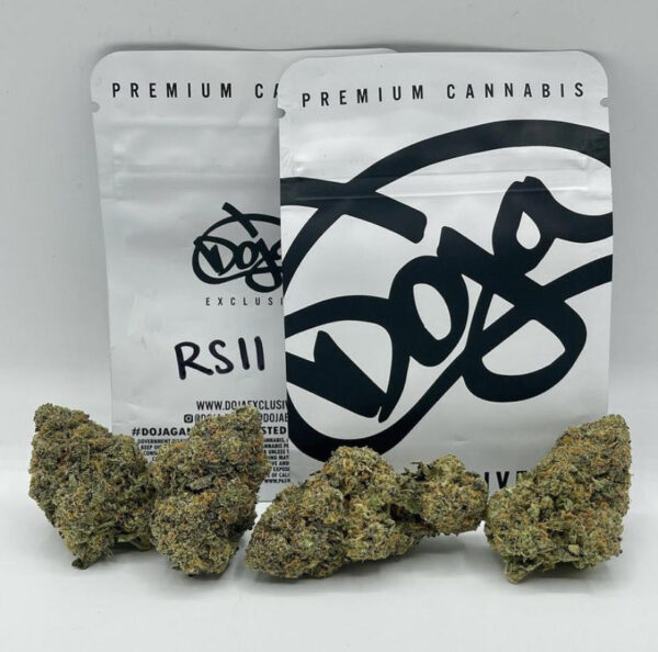 Rsll Dajo Strain