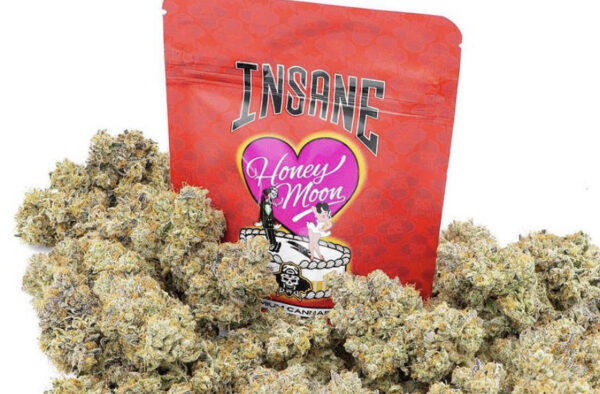 Honey Moon Isane Strain
